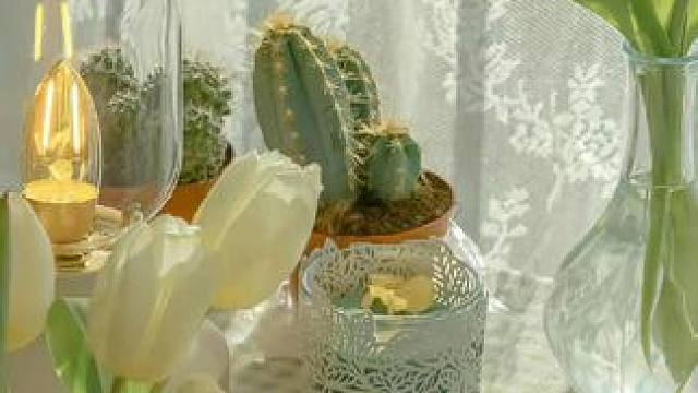 #捕鱼 #鱼笼 #大号新型鱼笼