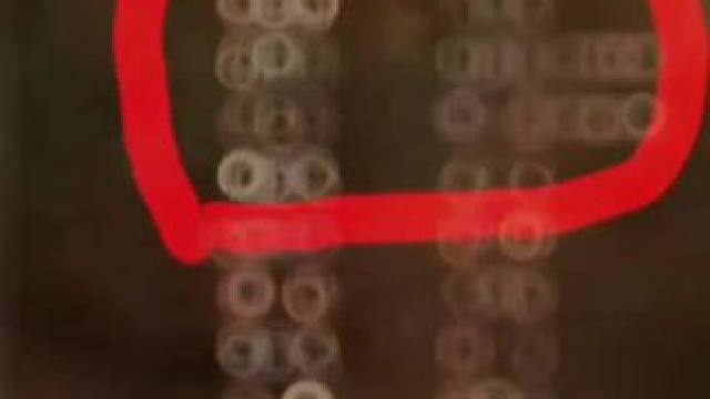 #皮皮虾#皮皮虾今日好笑 #皮一下很开心 #