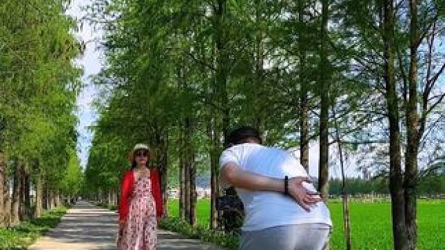 林荫小道试试这样拍 #手机摄影 #治愈系风景 #随手一拍都是美景 #随走随拍大自然的美