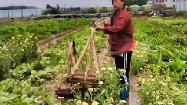 山卡卡里的农村大姐学费了开直播每天收获满满您还在恐播怕播不敢开播开播了不知说什么吗#记录农村生活 #