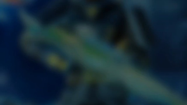 逆战变装界的扛把子