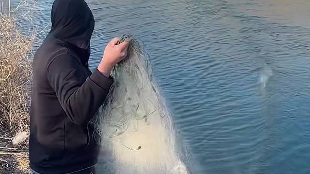 #户外捕鱼 #真实户外 #河边随拍 #现场实拍 #捕捞现场