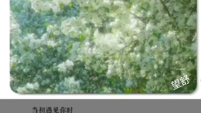 见一面吧，在春天