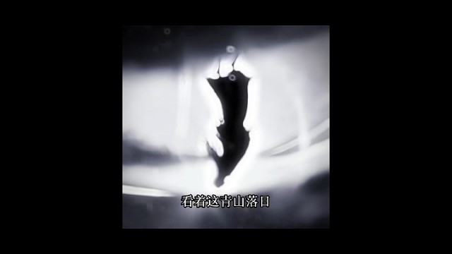 想找个对象，我没钱，你还愿意吗？