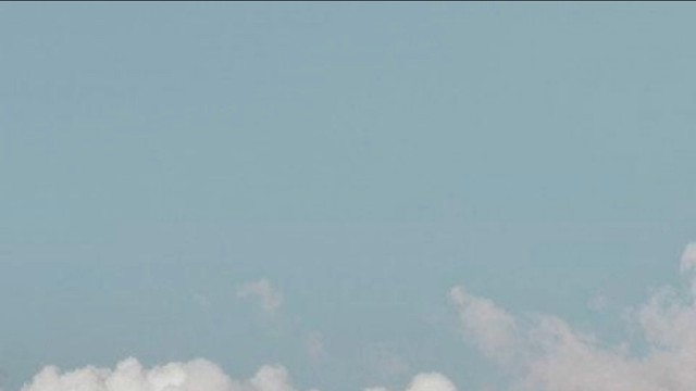 爱你好像在盛夏