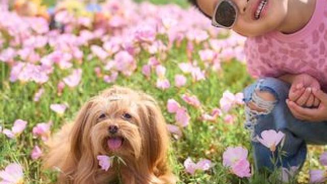 最近总是等不及精修就想发底片！
小朋友+狗
本就应该这样简单快乐！活力四射！
端正坐好僵硬摆拍哒咩❌