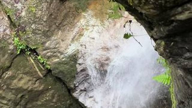 李白 请问阁下李白在此……是否有我如此镇定？ #自然奇观 #大自然 #户外 #原始森林 #探险中国毛