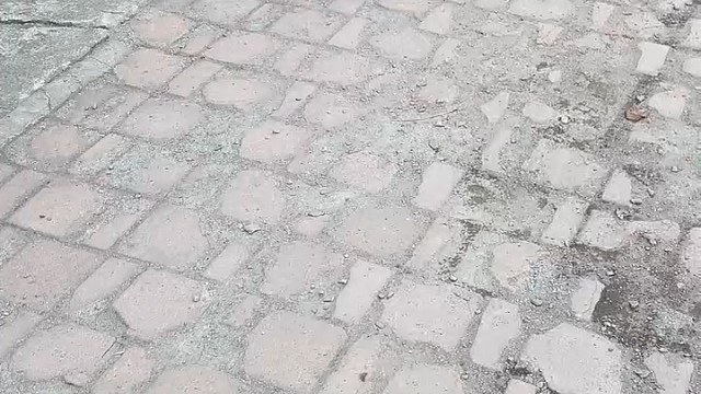 这才是真正的一家人！