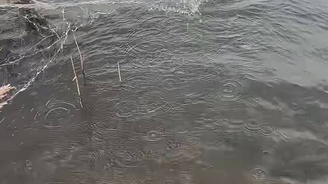 #户外捕鱼 #真实户外 #现场实拍 #河边随拍