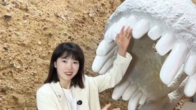 #乐玩梦幻城    #爱拍传媒 眉山的朋友们快来这超大的游乐场，有1到4城楼的，有好多好多玩的，