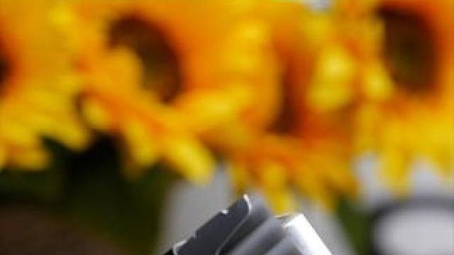 更适合年轻人的即溶茶#dudupanda精萃即溶茶 #喝茶 #花茶 #自制饮品