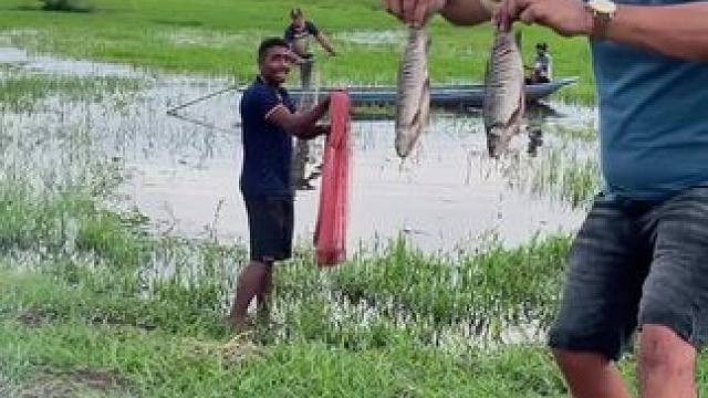 东南亚。户外野餐 #户外美食 #户外生活 #捕鱼达人 #野外生活 #乡村美食