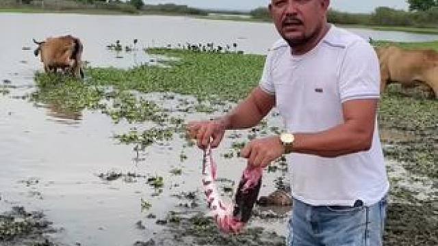 户外野餐 #户外美食 #野外生活 #户外生活 #新农人计划 #海边生活