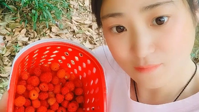 野生树莓  枇杷