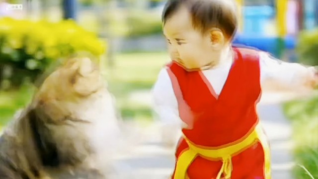 萌娃与猫咪决斗 #当人类幼崽遇到小动物 #猫与人类幼崽 #萌到爆炸了 #萌娃