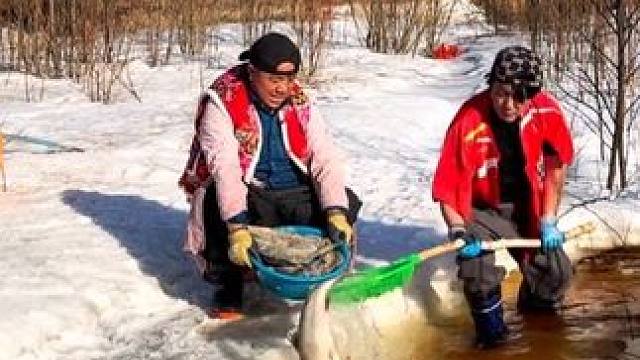 #捕鱼达人 #年年有大鱼