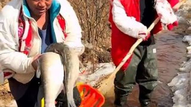 #捕鱼达人 #年年有大鱼