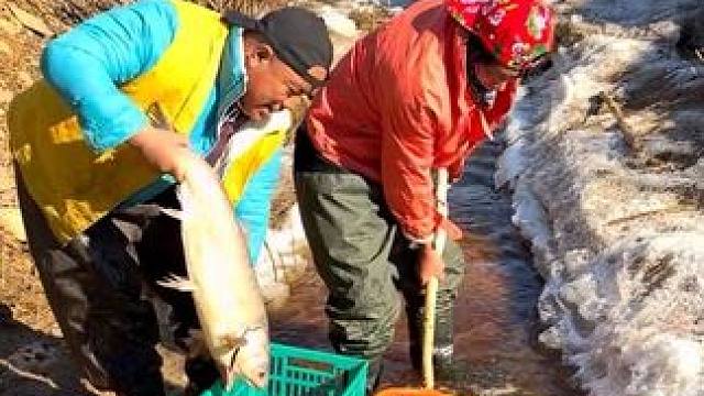 #捕鱼达人 #大货