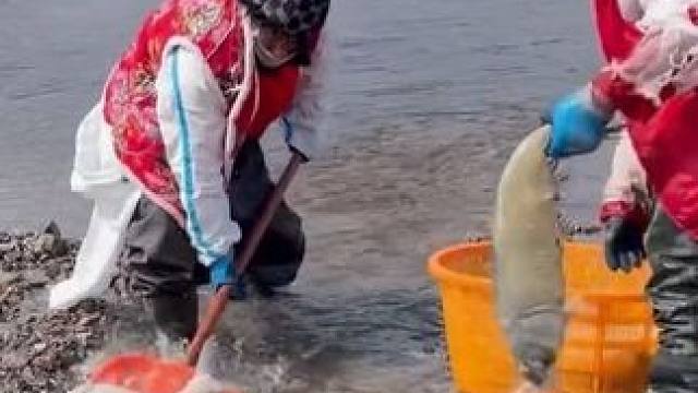 #捕鱼达人 #年年有大鱼