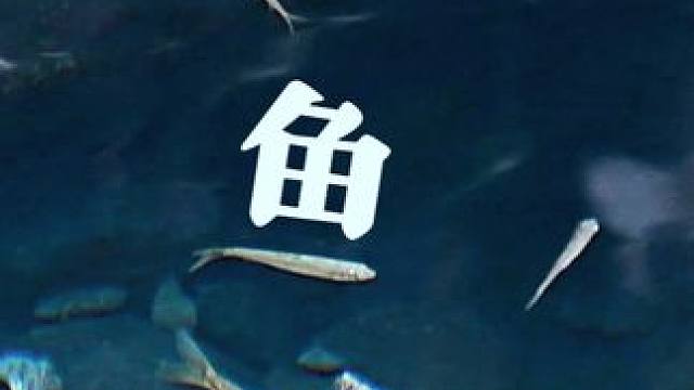 五一假期好天气，一起来捕捉之江的野生汉字吧～ #五一 #捕捉野生汉字 #大学校园 #浙江工业大学之江