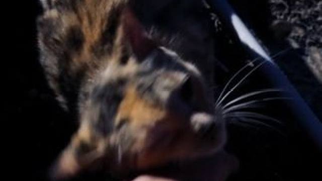 也许我们都一样，需要一个人陪伴