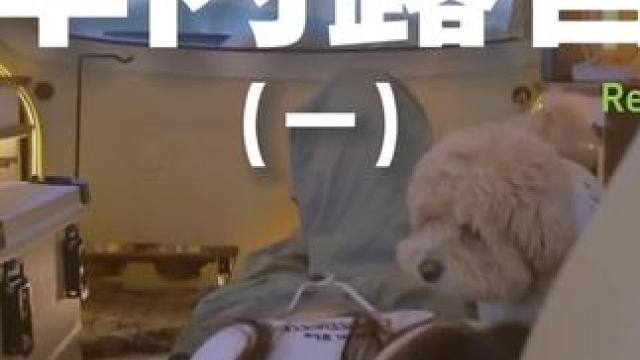 车内露营（一）#露营 #助眠 #解压 #狗狗 #海边