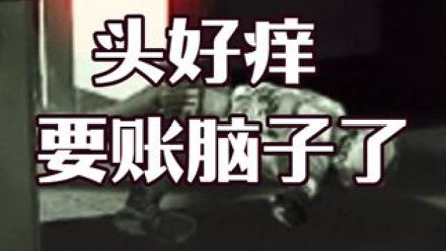 玩个零号大坝，头好痒，要长脑子了！ #三角洲行动 #猛攻三角洲4月新赛季 #三角洲猛攻节开启 #我的