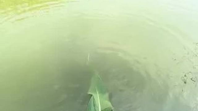 这味道还怕鱼不喜欢吗#钓鱼人就是这么疯狂 #钓鱼 #钓鱼的乐趣只有钓鱼人懂 #钓鱼人 #测试