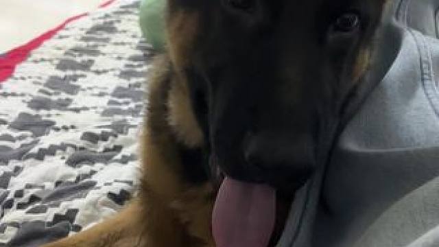 我发布了一个新视频，快来围观吧！