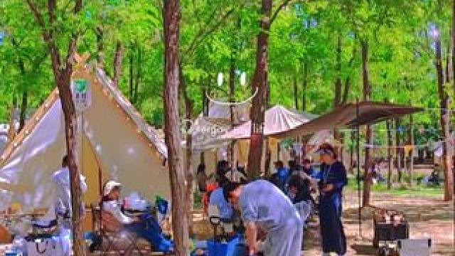 其实快乐很简单#露营 #踏青好去处 #童话森林