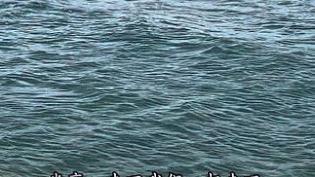 米高和汪蕾 #配音#我在风花雪月里等你 #米高#汪蕾#大理