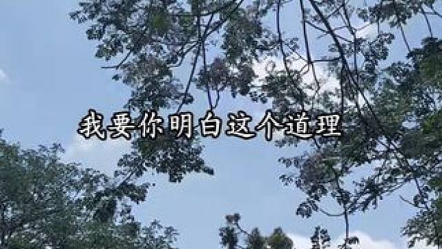 江渡，下辈子还要喜欢魏清越。 #配音#无声卡#江渡#见春天#捉刀客