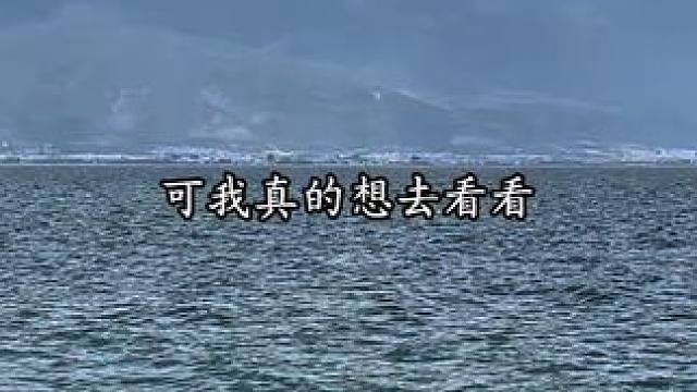 洱海真的很漂亮，也有海鸥，汪蕾。 #配音#我在风花雪月里等你 #汪蕾#无声卡#大理
