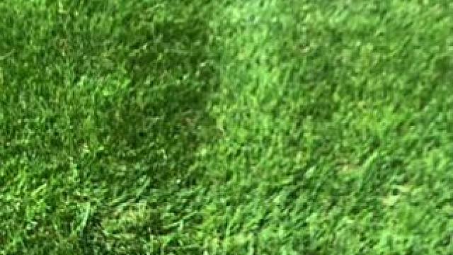 最后一把不得把我朋友迷城制丈~ #有男生会拒绝这个玩具吗  #酷炫