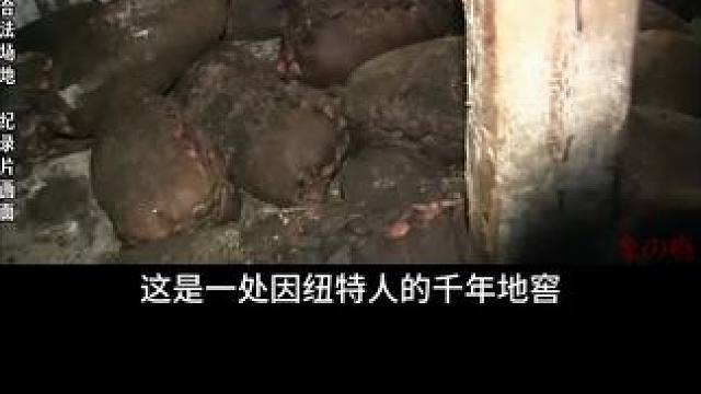 因纽特人狩猎 #瓜子二手车