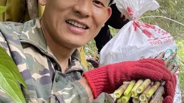 立夏才旺起来的高山野笋 #野生竹笋 #大自然的馈赠 #大山里的味道  #乡野生活 #立夏