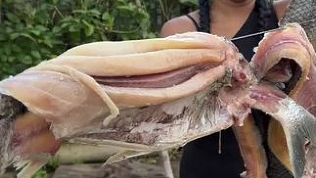 来腊鱼 #户外美食 #野外美食 #农村户外美食 #野外烧烤 #乡村美食