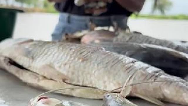 东南亚美食 #户外美食 #野外美食 #农村户外美食 #野外烧烤 #乡村美食