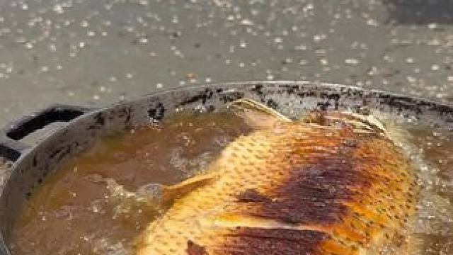 东南亚热带️美食 #户外美食 #野外美食 #农村户外美食 #野外烧烤 #乡村美食