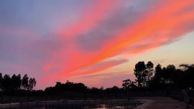 都是一些老六#非专业人士请勿模仿