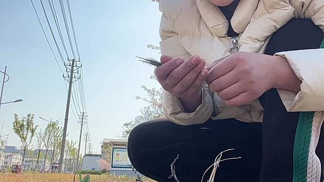 新人小白，请多关照