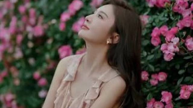 五一假期出门就这样拍#摄影 #蔷薇花拍照 #氛围感拍照#五一去哪儿  #衡阳约拍