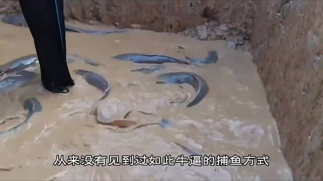 #户外抓鱼 #真实户外 #现场实拍 #三农户外捕鱼