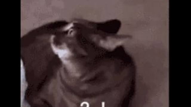 那就让珠宝代替我们向她们诉说我们的爱吧！#用珠宝把妈妈宠成掌上明珠  #妈妈的花样年华