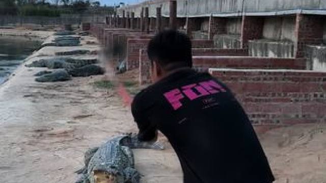 脾气比锄头还硬#非专业人士请勿模仿