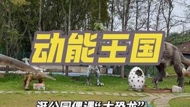 动能王国#戏水 #恐龙园 #新风游乐 #爱玩水的小朋友 #夏天该有的样子