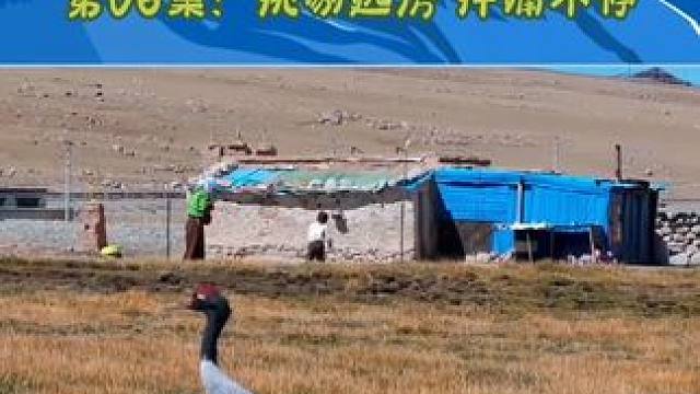 【黑颈鹤微短剧】第六集-挑剔选房 拌嘴不停 