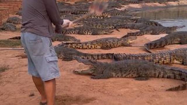 锻炼身体，增强体质#非专业人士请勿模仿 #锻炼