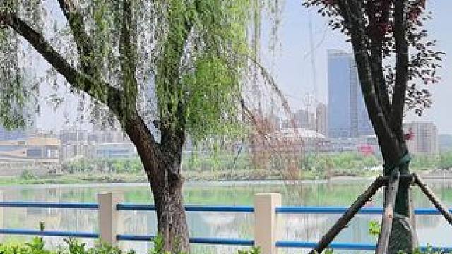 玩阴阳师啊？这辈子有了！ #阴阳师 #我们一起玩过的阴阳师 #鼠鼠五一旅游计划 #原来你也玩阴阳师