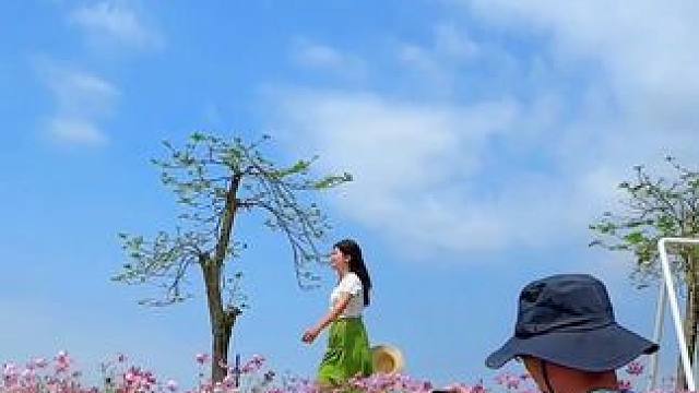 假期出行游玩这样拍太美了，简单易学又好看#手机摄影#一镜到底 #拍摄技巧 #治愈系风景